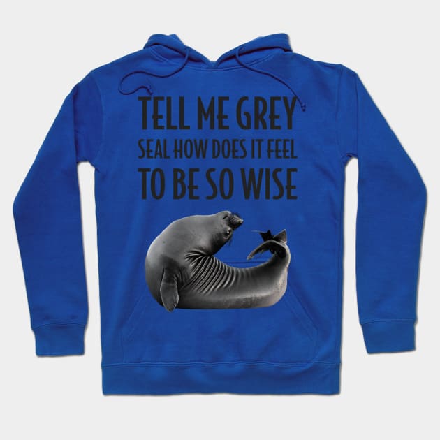 Grey Seal How Does it Feel to be so Wise Hoodie by FrogAndToadsWorkshop